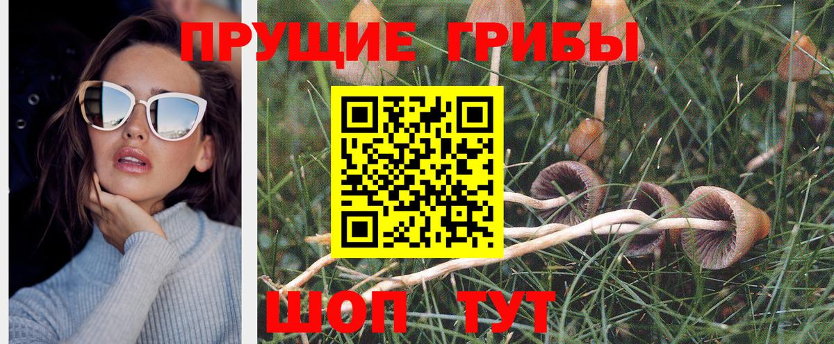 Дербент  Псилоцибиновые грибы Cubensis  Псилоцибиновые грибы ЛСД  Вход с VPN 