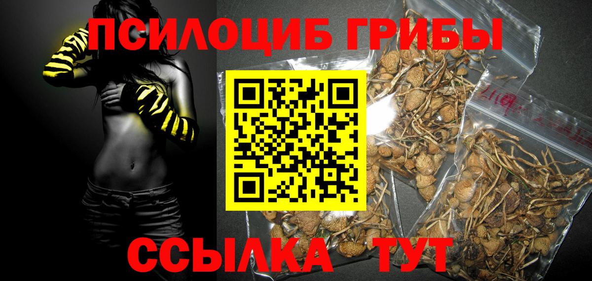Псилоцибиновые грибы GOLDEN TEACHER Дербент